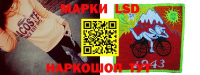 шишки Гатчина