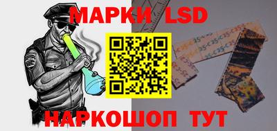 шишки Гатчина