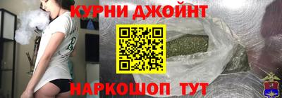шишки Гатчина