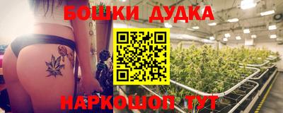 гидра Гагарин