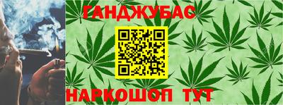 шишки Гатчина