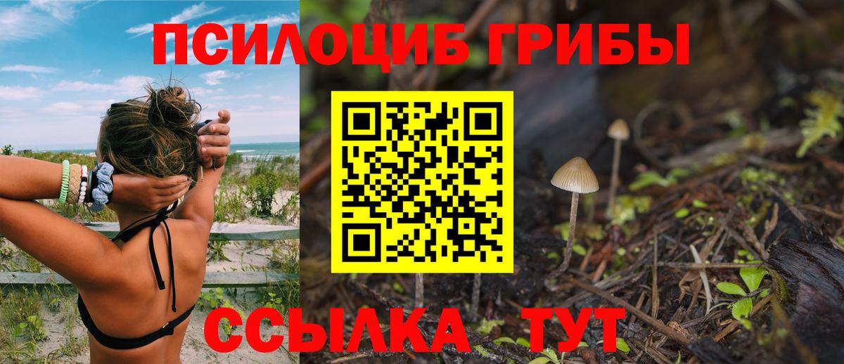 Галлюциногенные грибы прущие грибы Нефтеюганск